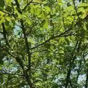 ＊SEI＊の画像
