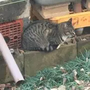 雨漏りの画像