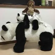 りんの画像