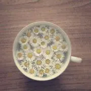 Flower Tea♡の画像