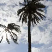 Mahalo