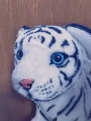 うー。の画像