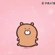 白っぽい猫の画像