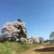 ひつじ