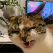 チロル