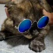 ぼつごん