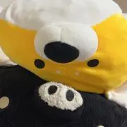 めーちの画像
