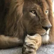 スラちゃん