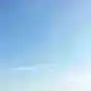 りんごの画像