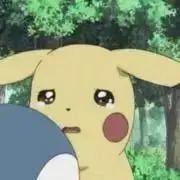 こはだの画像