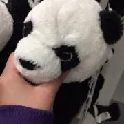 kの画像