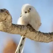 しましま（プロフ一読下さい)の画像