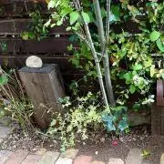 よっちの画像