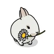 あゆみの画像