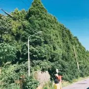 ライリー✳︎の画像