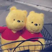 ナタデココ