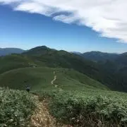 Jの画像