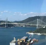 オリーブ  時々一時停止しますの画像