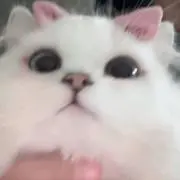 naの画像