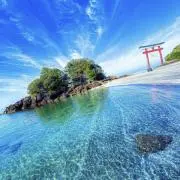 もるじぶの画像