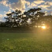 小澤翔吾の画像