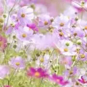 まりあ【プロフにお得情報】の画像