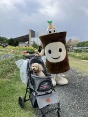 ママス