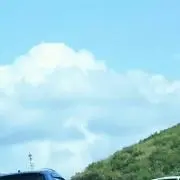 るんちゃんの画像