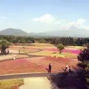 ilmcの画像