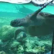 あやぴの画像