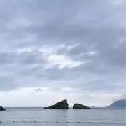 1014の画像