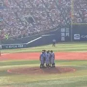 購入メイン