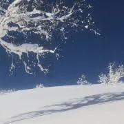 かんばやの画像