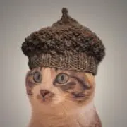 garmentcatの画像