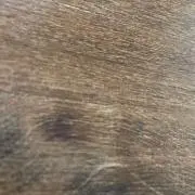 たむらまろの画像