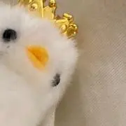 ありの画像