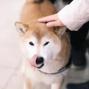 寺村の画像