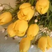 雅(miyabi)の画像