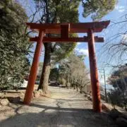 世界を旅するの画像