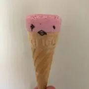 ジンの画像