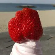 ラン☆の画像