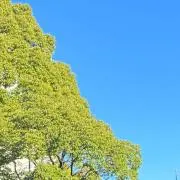 との画像