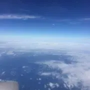Cocoの画像