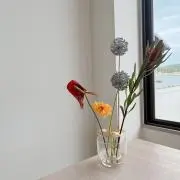 masumiの画像