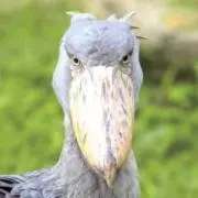 ゴルゴ14