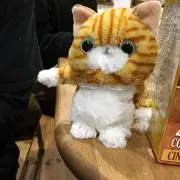 にぼしの画像