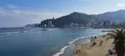コスモの画像