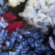 KHDの画像