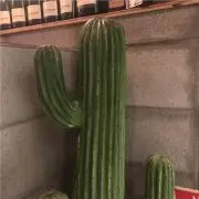arizona