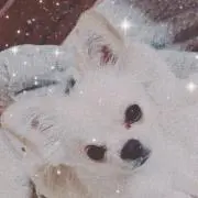 ちかたん